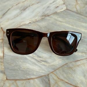 Classic Men's Wayfarer Sunglasses in Dark Brown
